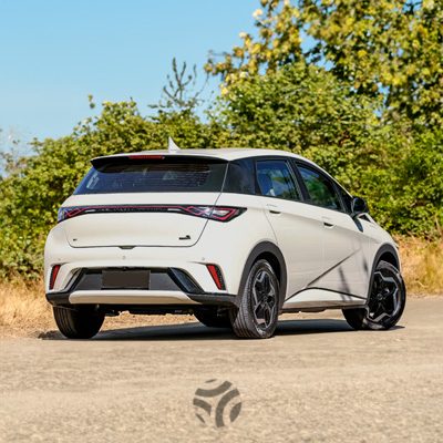BYD Dolphin Mini vs BYD Dolphin: el Dolphin ofrece más espacio, potencia y seguridad, siendo una opción robusta para trayectos más largos. BYD Dolphin Mini vs BYD Dolphin